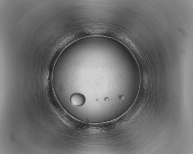 X0000115730490200911121515