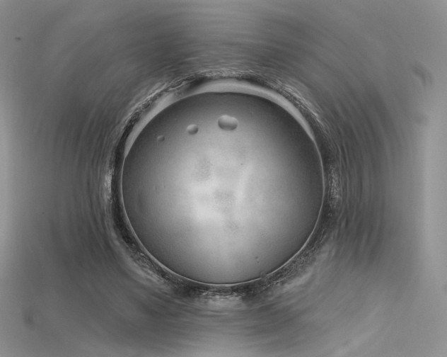 X0000115730491200911121515