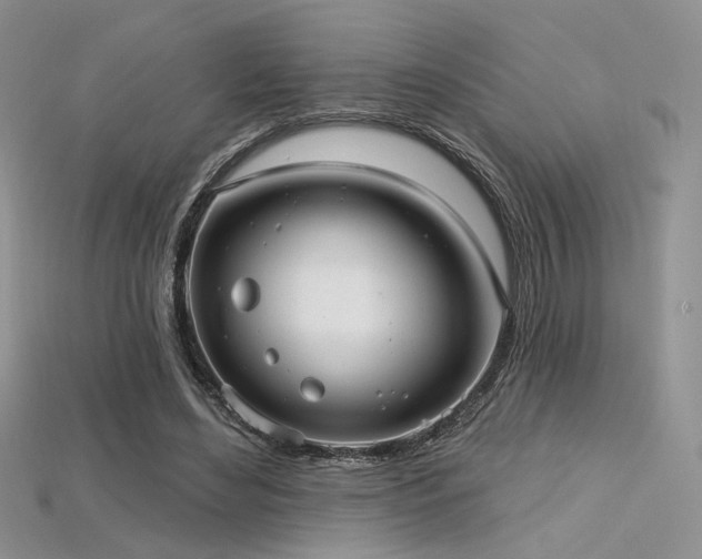 X0000115730492200911121515