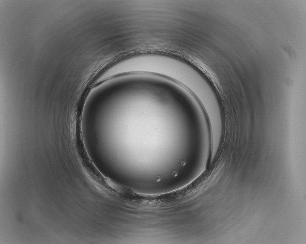 X0000115730493200911121515