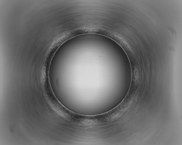 X0000115730494200911121515