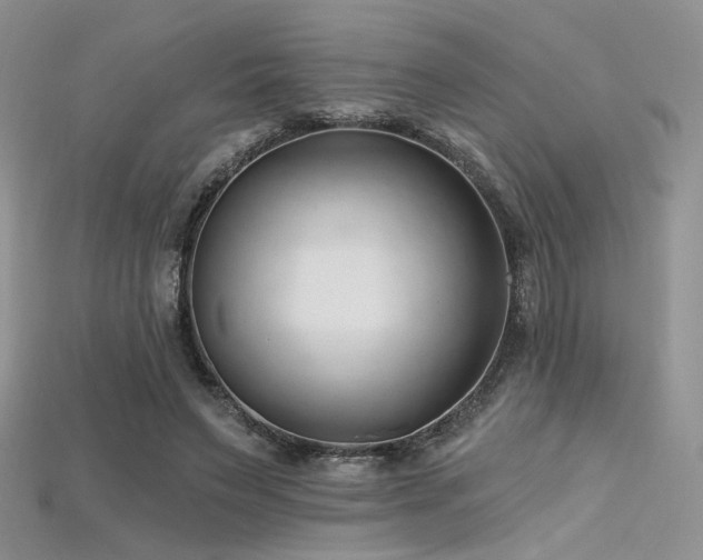 X0000115730495200911121515