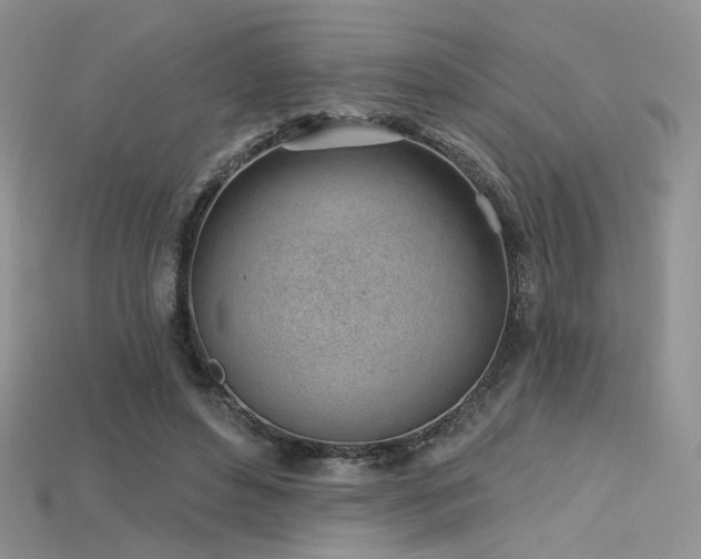 X0000115730496200911121515