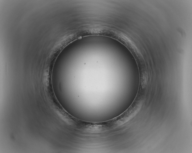 X0000115730497200911121515