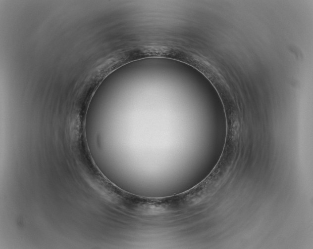 X0000115730498200911121515