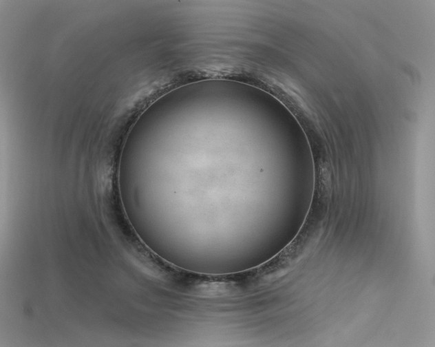 X0000115730499200911121515