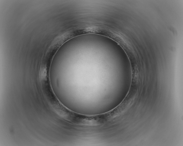 X0000115730502200911121515