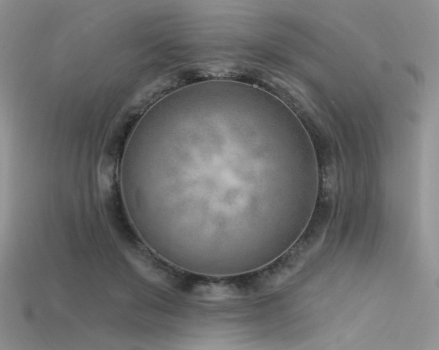 X0000115730503200911121515