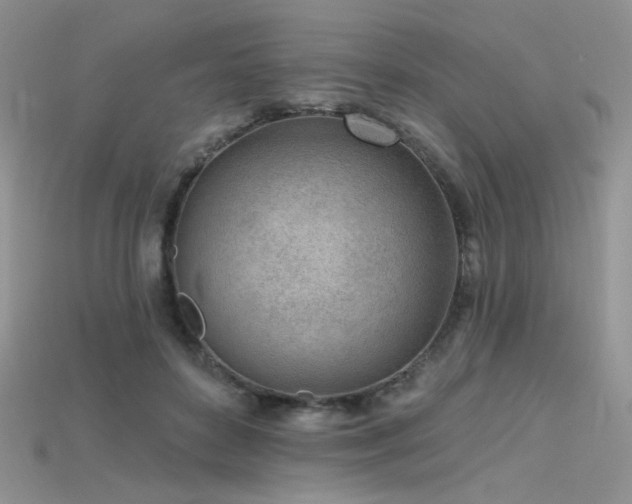 X0000115730504200911121515