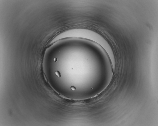 X0000115730505200911121515