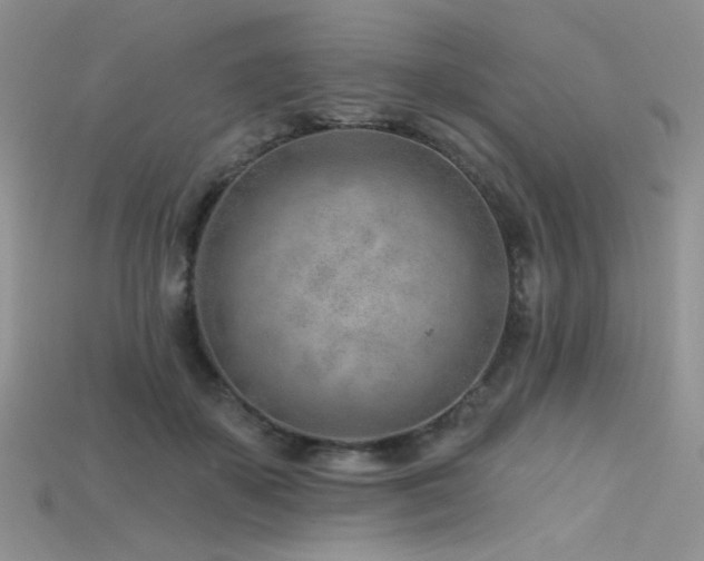 X0000115730507200911121515