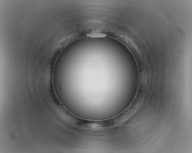 X0000115730509200911121514