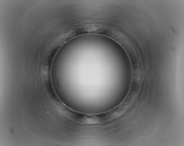 X0000115730510200911121514