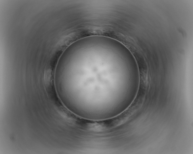 X0000115730511200911121514