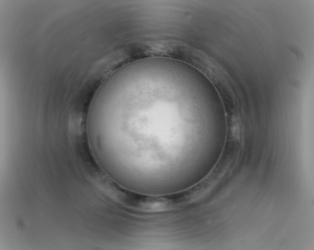 X0000115730514200911121514