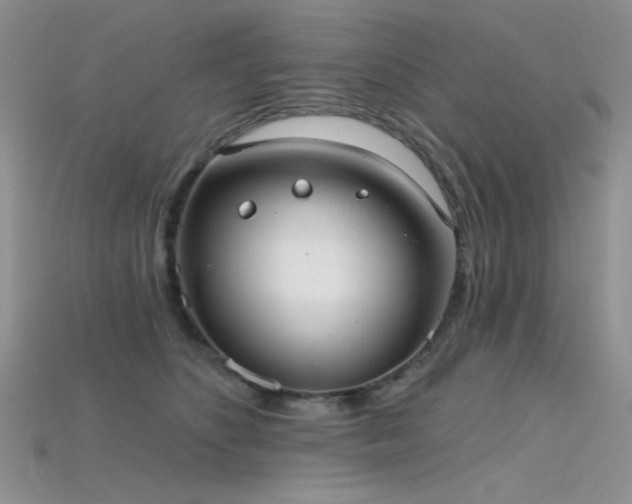 X0000115730516200911121514