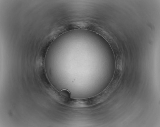 X0000115730518200911121514
