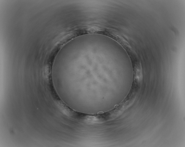 X0000115730519200911121514