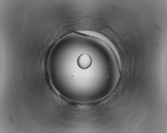 X0000115730520200911121514