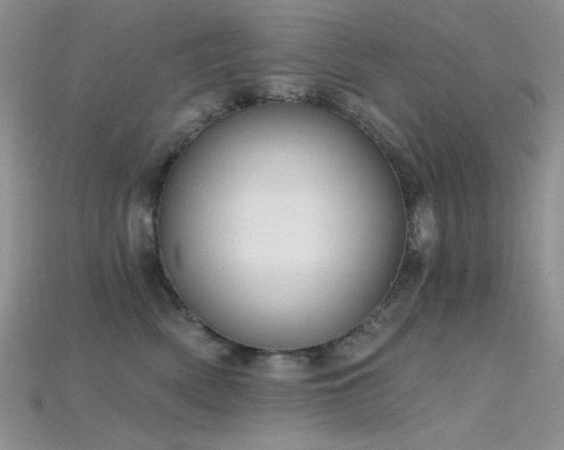 X0000115730522200911121514