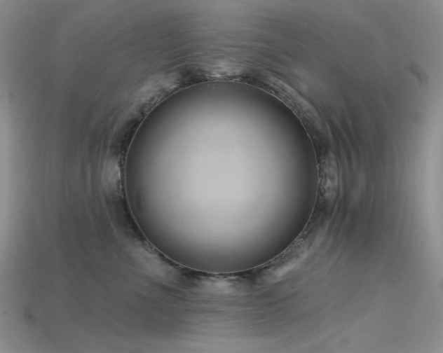 X0000115730523200911121514