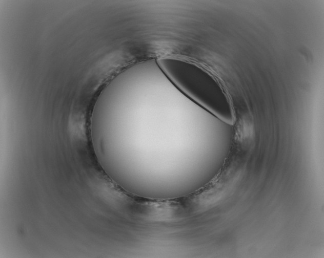 X0000115730524200911121514