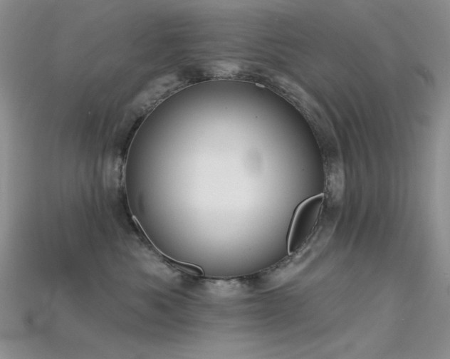 X0000115730525200911121514