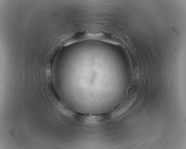 X0000115730527200911121514
