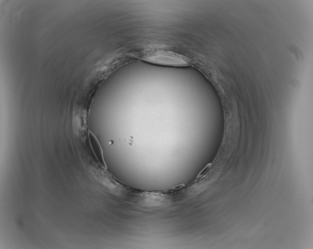 X0000115730528200911121514
