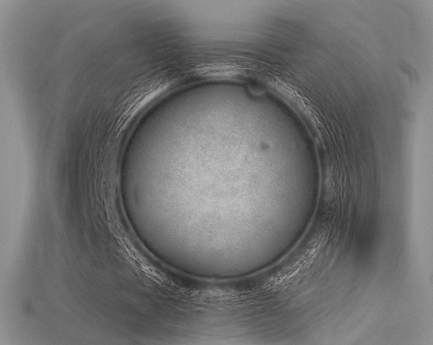 X0000115730529200911121514