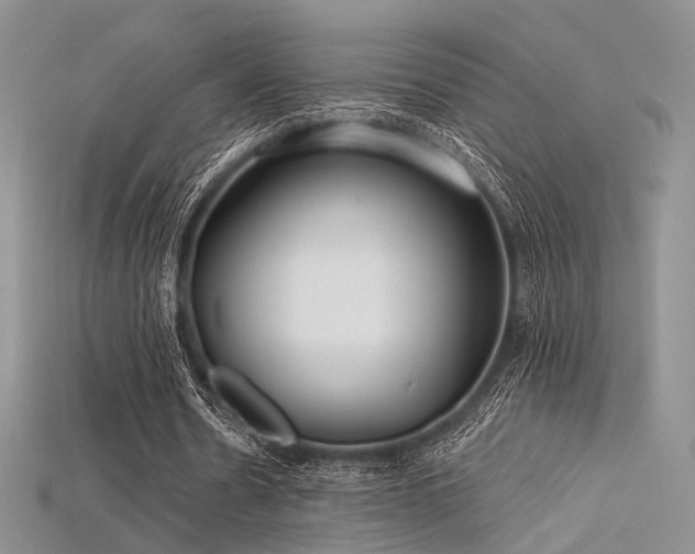 X0000115730530200911121514