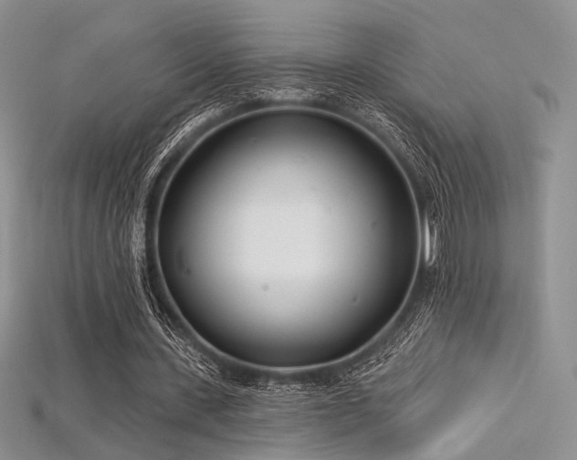 X0000115730531200911121514