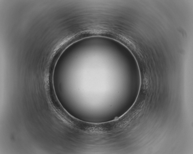 X0000115730535200911121514