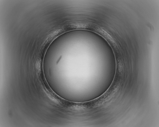 X0000115730537200911121514