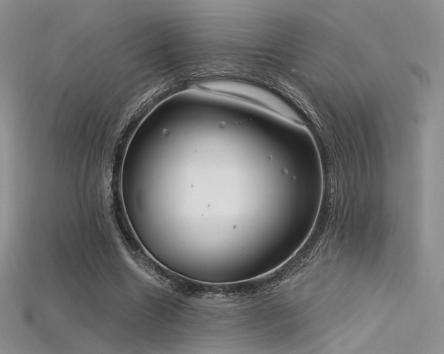 X0000115730538200911121514