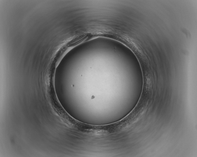 X0000115730539200911121514