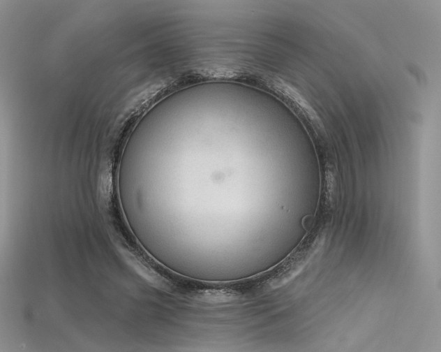 X0000115730541200911121514