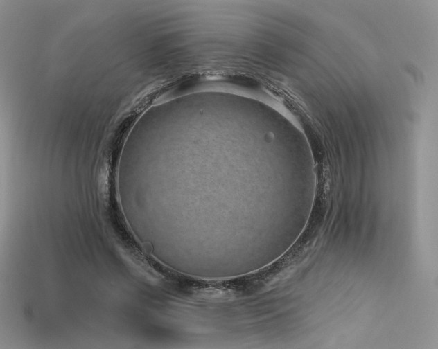 X0000115730542200911121514