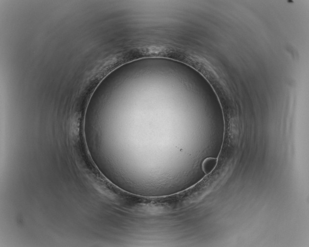 X0000115730545200911121514