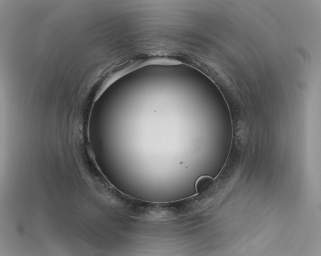 X0000115730547200911121514