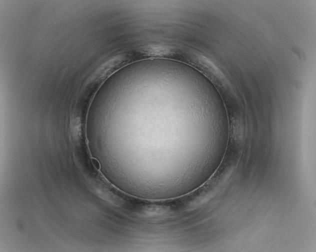 X0000115730549200911121514