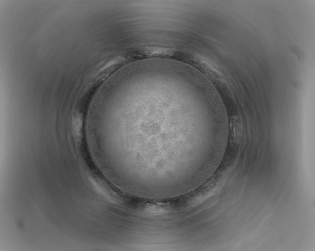 X0000115730550200911121514