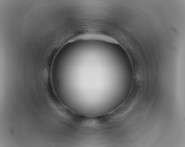 X0000115730551200911121514