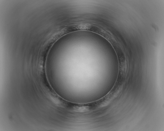 X0000115730553200911121514