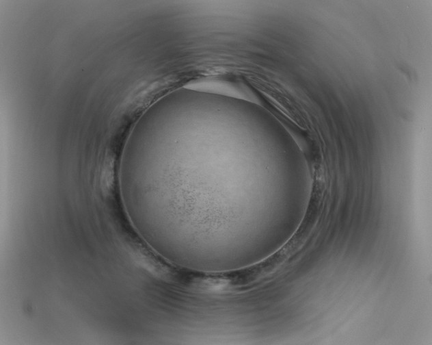X0000115730554200911121514
