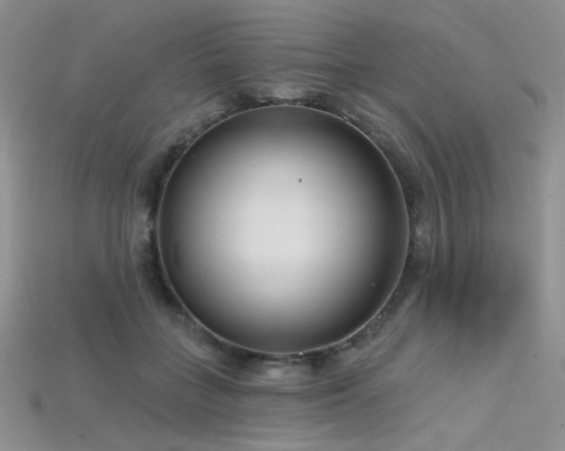 X0000115730555200911121514