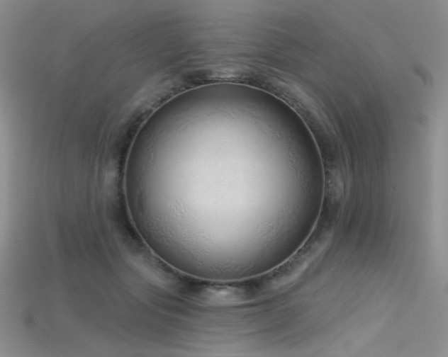 X0000115730557200911121514