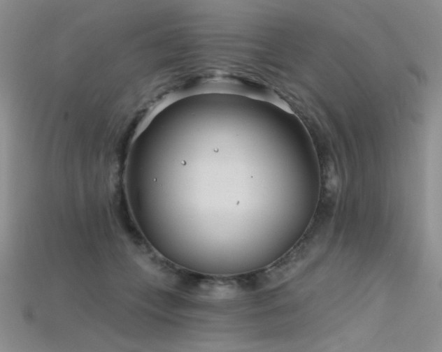 X0000115730559200911121514