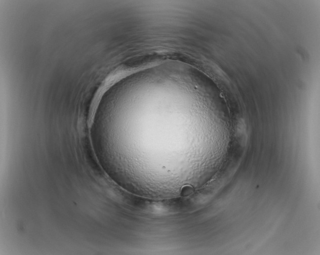 X0000115730565200911121514