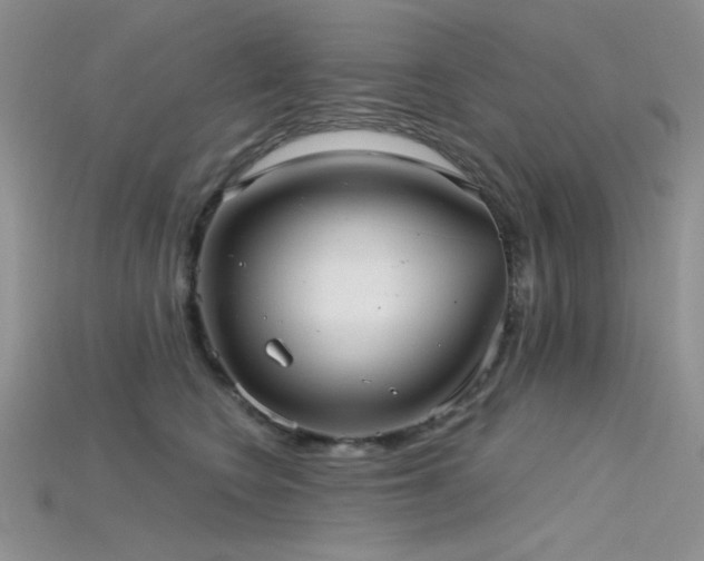 X0000115730566200911121514